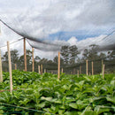 Tela Polipropileno sombrio 70%,  3m x100 m, UV 2 años Rollo x 100 MT 2310123VTPA