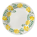 Plato Pando 24.2Cc Alice X 12 Unidades PL127F512412