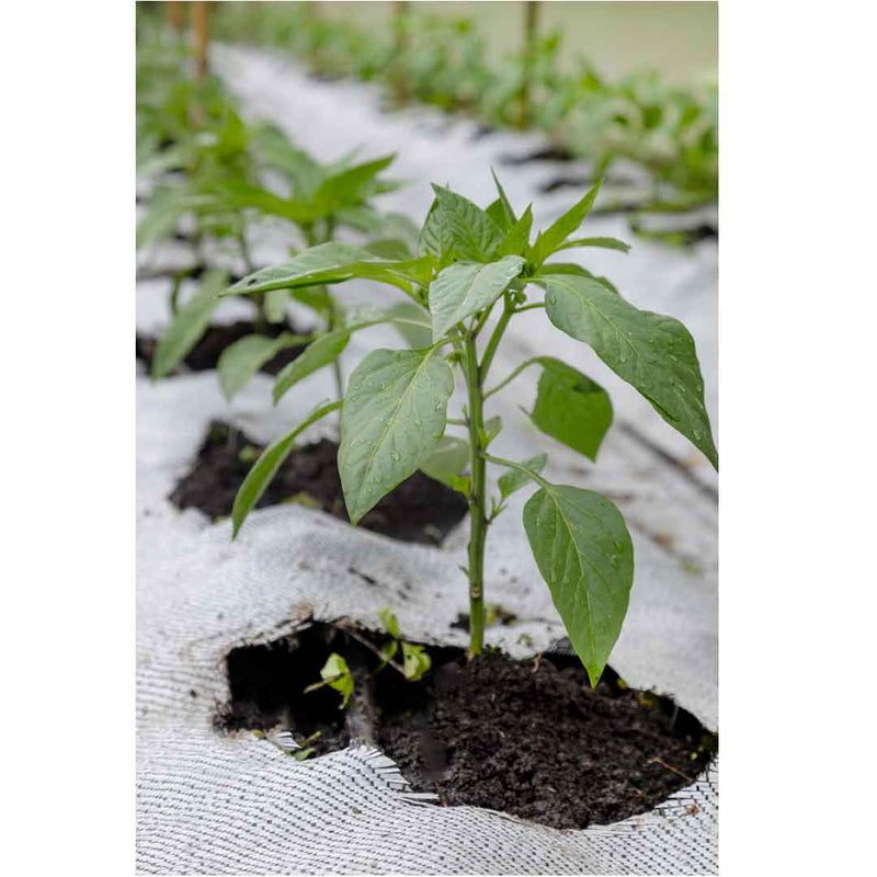 Tela Cubre Suelos 380 Cm Negro 2328009VT