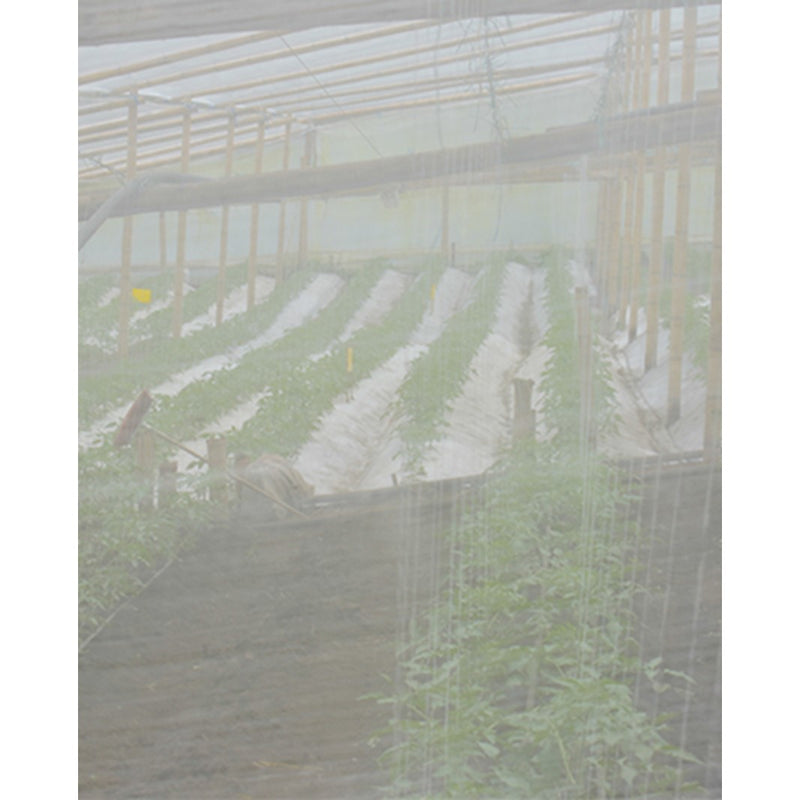 Malla Cortavientos 6x6 4x100mt PEAD Transparente 2330102TRANSP