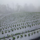 Acolchado para suelos, plata negro, ancho 1,2mts, Largo 1000mts 1212121000-NP-3-12