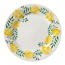 Plato Pando 24.2Cc Alice X 12 Unidades PL127F512412