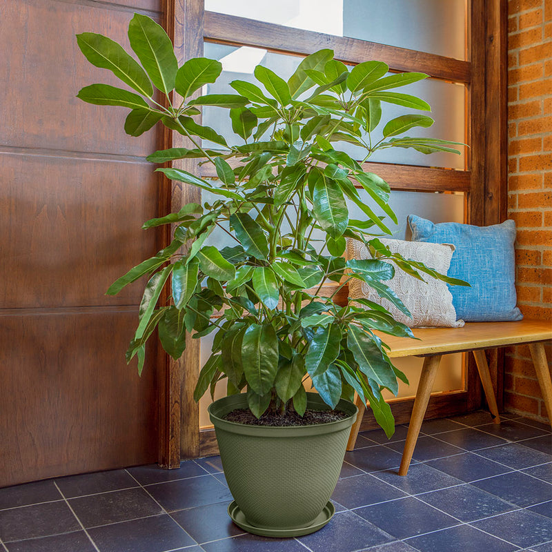 Matera Redonda Red Rafia de 35 Cm Verde Musgo 12991