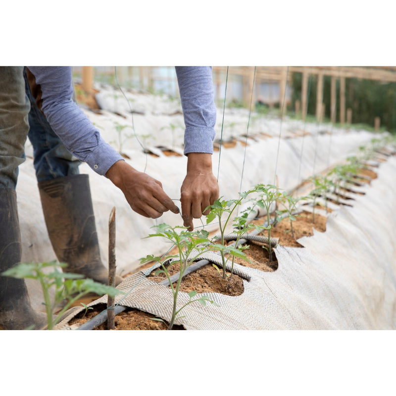 Hilo Polipropileno Bulto x 12 Unidades 12000 Amarillo 2101042AMARILLO