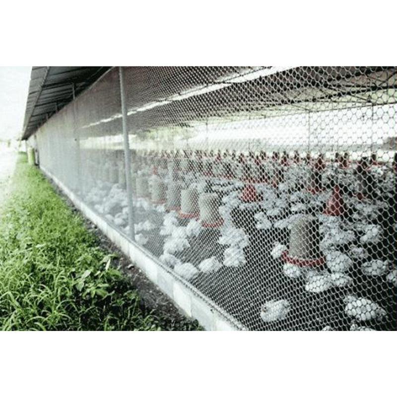 Malla Pollito Versátil Orificio 21mmX21mmX1.83m Verde 3100306VERDE