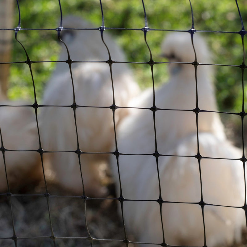 Malla Gallinero 25x30mm 1.8x100mts Negro 3100367NEGRO