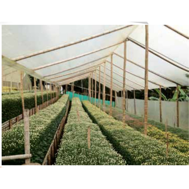 Plástico para invernadero Agroplasn de 3m de ancho por 100m de largo, calibre 6 mils 110306100