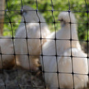 Malla Gallinero 25x30mm 1.8x100mts Negro 3100367NEGRO