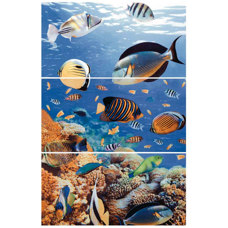Base Deco Mural Aguama Multicolor  30X60Cms