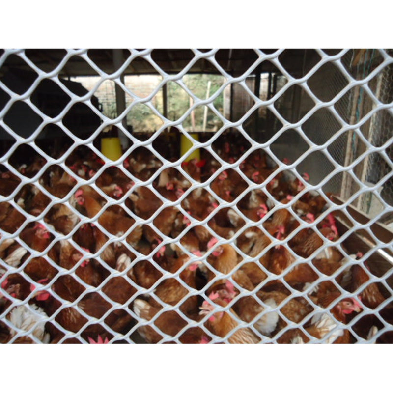 Malla Pollito Versátil Orificio 21mmX21mmX1.83m Transparente 3100205TRANS