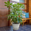 Matera Redonda Red Rafia de 35 Cm Gris Hielo 12986