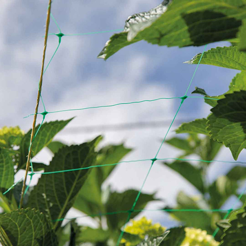 Malla soporte planta orificio 150x150mm 1.35m ancho Rollo x1000MT 3100342VERDEVT