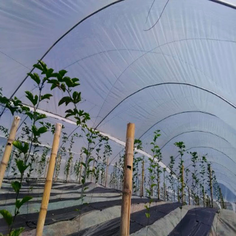 Plástico invernadero Agroclear ancho 6.1m x 75m largo calibre 6 13610675