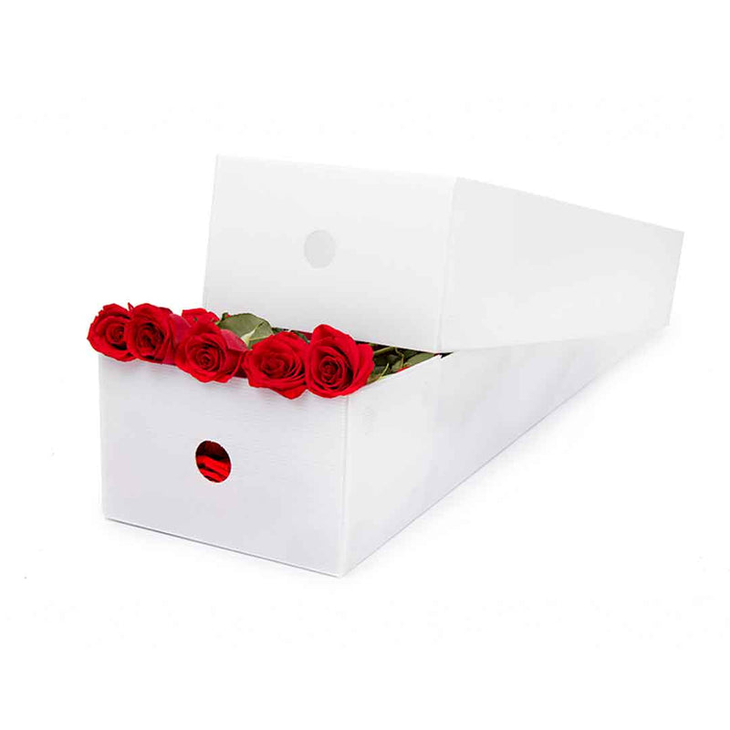 Tapa Cartonplast 1040x500x200mm,50un,blanco Paquete x 500 UND 4200200BLANCOVT