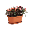 Matera Oval Rafia de 4, Cm Terracota 12997