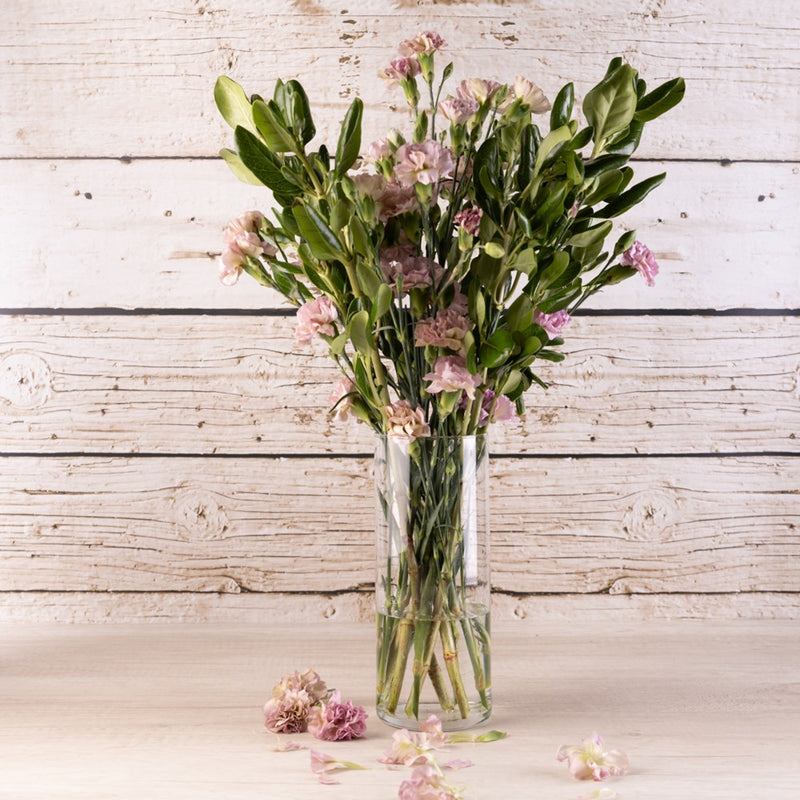 Florero Cilíndrico 37.5 Onzas Caja x 12 Unidades 0933AL12