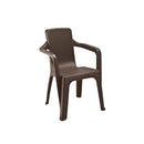 Silla Eterna Rimax con Brazos Wengue 7200