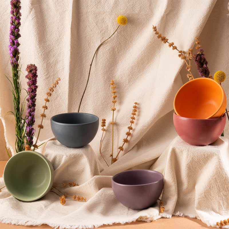 Bouillon 311.2 CC Tonos 12 Piezas Multicolor PL1964494812