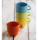 Set 4 Pocillos Te 208.4Cc Fiesta X 12 Set SL1964004404B