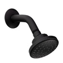 Regadera con Brazo Dalia Negro Mate DL4075551