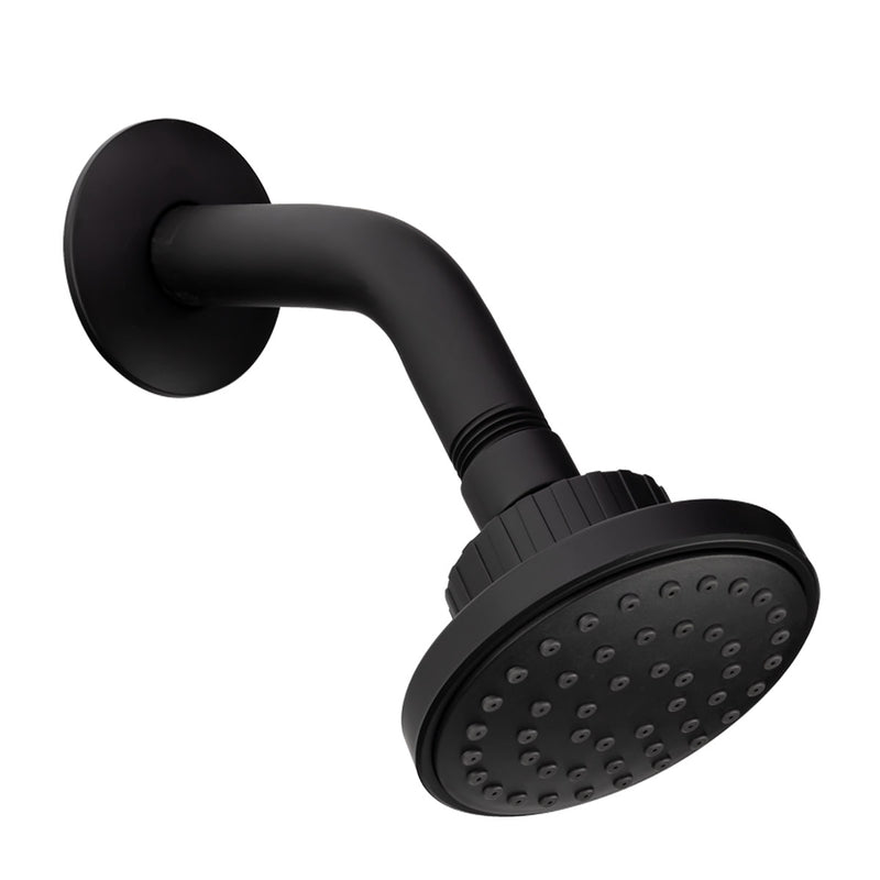 Regadera con Brazo Dalia Negro Mate DL4075551