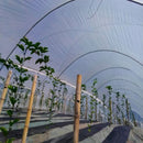 Plástico invernadero Agroclear ancho 2m x 150m largo calibre 6 130206150