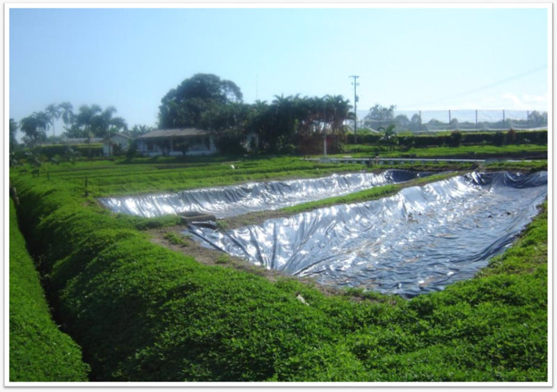 Plástico invernadero Agroblack ancho 4m x 90m largo calibr 7 140407090