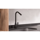 Subconjunto Grifería Lavaplatos Monocontrol Aluvia Negro AV4185551