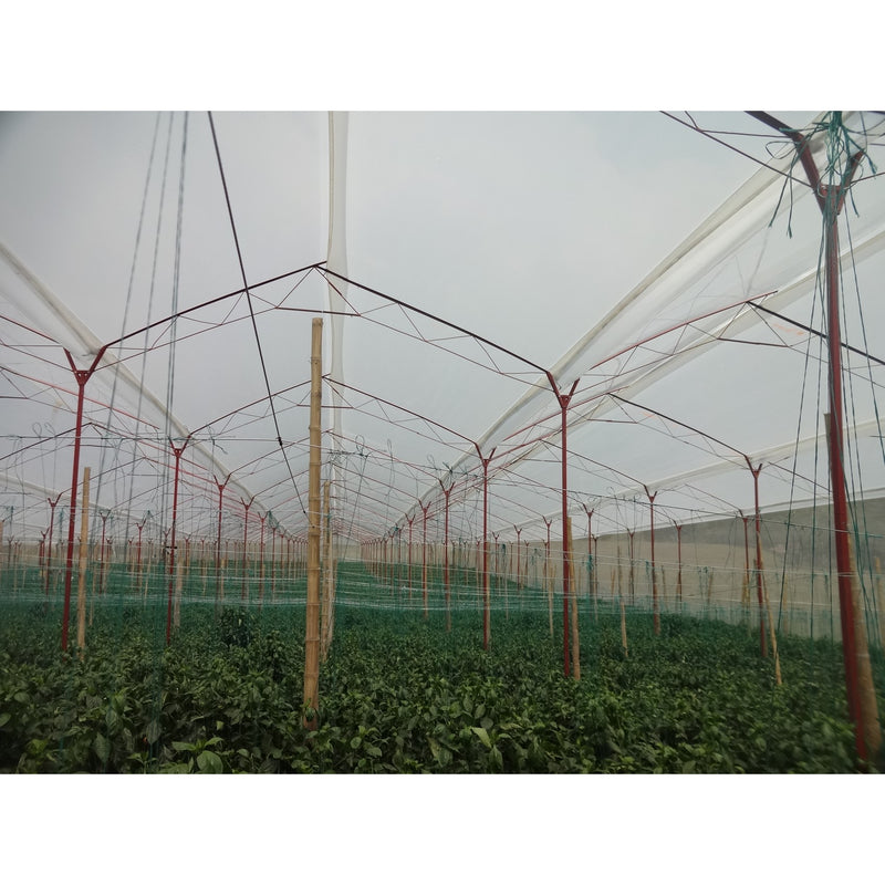 Plástico Agroclear de 6.3x6x75 TRANS 136306075