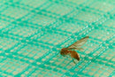 Malla Anti Insecto Versátil Verde 1m 3100179VERDE