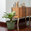 Matera Redonda Red Rafia de 3, Cm Verde Musgo 12990