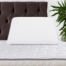 Almohada Ergo Viscolestica 49x36 12cm 30101453