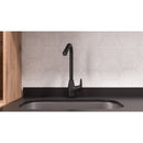 Subconjunto Grifería Lavaplatos Monocontrol Aluvia Negro AV4185551