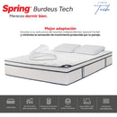 Colchon Burdeos T de 140x190 36Cm + Almohada + Protector 30205810