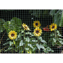 Malla Cuadrada Rojo Todo Terreno de 15x15mm Presentación 1x30m 3105151ROJO