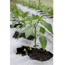 Tela Polipropileno Circ cubre suelos 55cm R80T negro Rollo x500MT 2325580VT