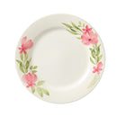 Plato Pando de 24.2 CC Danna X 12 Unidades PL193F512412